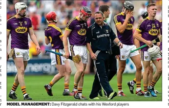  ??  ?? MODEL MANAGEMENT: Davy Fitzgerald chats with his Wexford players