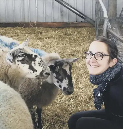  ??  ?? 0 A study led by Dr Lucille Bellegarde found that sheep have a wide range of facial expression­s and can differenti­ate between them. Top: a sad sheep. Above: A happy one