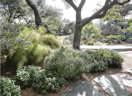  ?? Houston Chronicle file ?? Xeriscape recommenda­tions vary by region, so it is important to choose plants that can make it in our area.