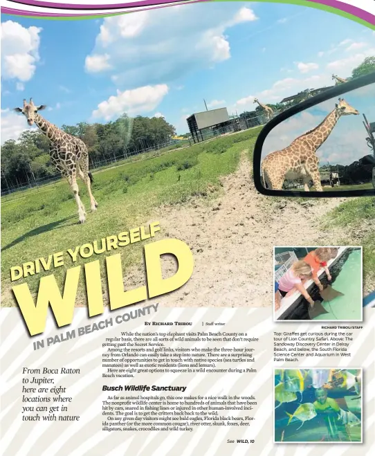  ?? RICHARD TRIBOU/STAFF ?? Top: Giraffes get curious during the car tour of Lion Country Safari. Above: The Sandoway Discovery Center in Delray Beach, and below, the South Florida Science Center and Aquarium in West Palm Beach.