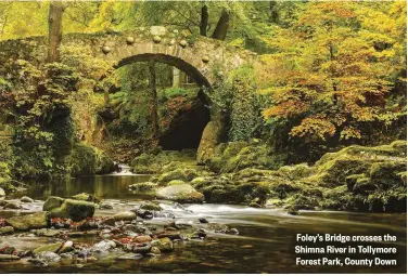  ??  ?? Foley’s Bridge crosses the Shimna River in Tollymore Forest Park, County Down