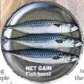  ??  ?? NET GAIN Fish boost