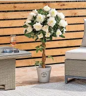  ?? ?? Artificial rose tree, from £29.99 (3ft), Christow Fast-track to a rose tree in perpetual bloom... These beautiful cream roses with a natural looking twisted vine will add wow factor to a dull corner, or positioned in front of a fireplace