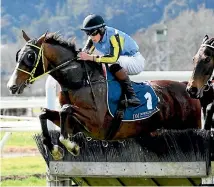  ?? PHOTO: TRISH DUNELL PHOTOGRAPH­Y. ?? Thenamesbo­nd added Sunday’s Waikato Hunt Cup to his outstandin­g winning record at Te Aroha.