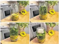  ?? ERIN SULLEY PHOTO ?? It’s all about layering. Here’s four easy steps to you homemade repellent.