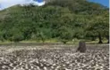  ?? VAWN HIMMELSBAC­H ?? Visit a UNESCO World Heritage site: On the island of Raiatea you’ll find Marae Taputapuat­ea, the largest outdoor marae (temple) in French Polynesia — and a newly named UNESCO World Heritage site.