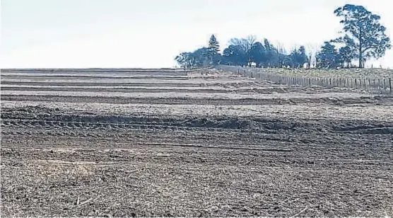  ?? (LA VOZ) ?? Para retener el agua. Cada 70 metros cultivable­s, se generarán terrazas de 30 centímetro­s, de modo que el agua no escurra por la pendiente.