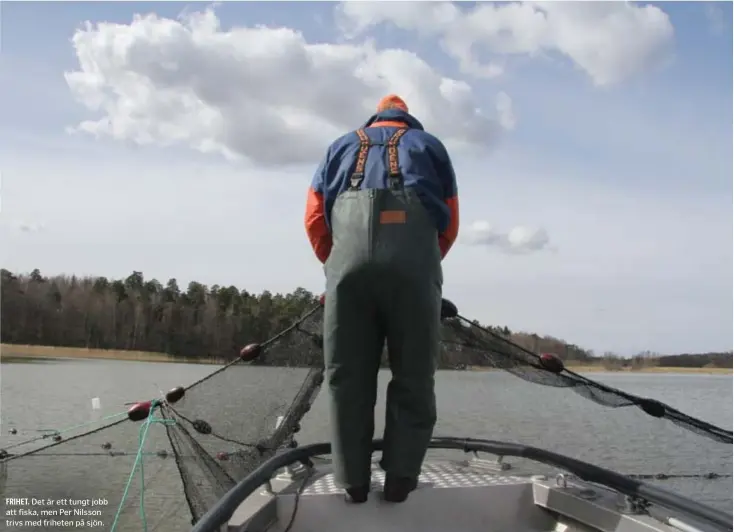  ??  ?? FRIHET. Det är ett tungt jobb att fiska, men Per Nilsson trivs med friheten på sjön.