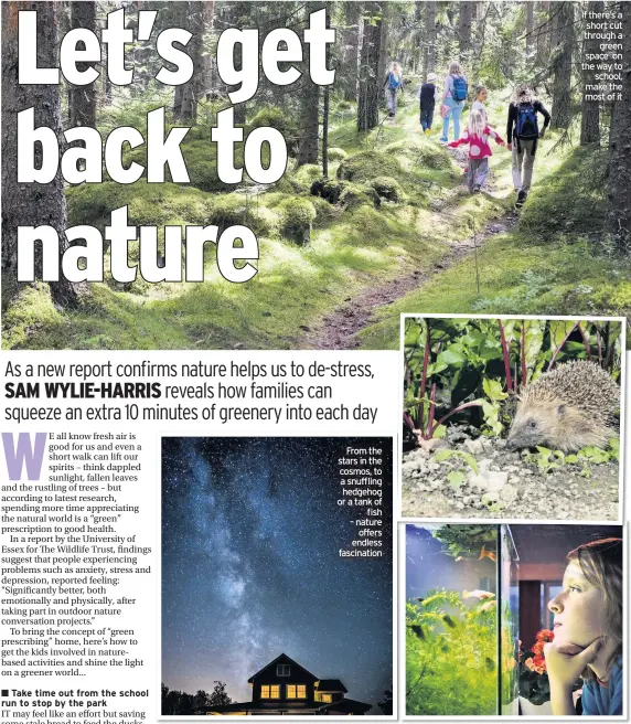  ??  ?? From the stars in the cosmos, to a snuffling hedgehog or a tank of fish – nature offers endless fascinatio­n
If there’s a short cut through a green space on the way to school, make the most of it