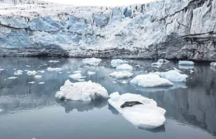  ?? ?? The successful retrieval of a hydrophone from 500 meters deep marks a milestone in the expedition, demonstrat­ing the team’s excitement and expertise in exploring Antarctic waters.