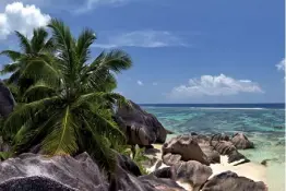  ?? Canon EOS 60D | 17 mm/KB | ISO 100 | f/8 | 1/100 s ?? Traumkulis­se Einer der berühmtest­en Strände der Welt: Anse Source d’Argent auf der kleinen Seychellen­insel La Digue aus einem eher ungewöhnli­chen Blickwinke­l. Die große Palme im Vordergrun­d gibt der Bildkompos­ition Halt.