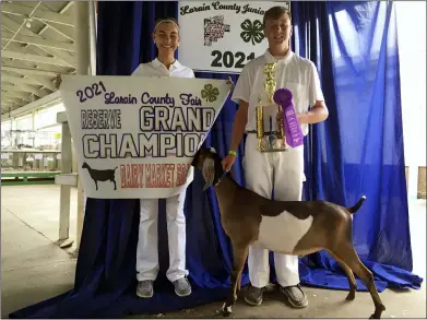  ?? PHOTOS BY RICHARD PAYERCHIN — THE MORNING JOURNAL ?? Cody Martin, 14, right, of Grafton, displays his awards as his Nubian goat Trapper sniffs at the reserve grand champion banner held by Emily Martin, 12, on Aug. 25at the 175th Lorain County Fair.