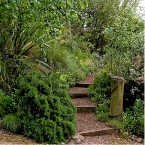  ??  ?? Steps disappear into clouds of fleabane, sea pinks, oregano, euphorbia, rosemary, silvery elaeagnus, phormium and grasses.