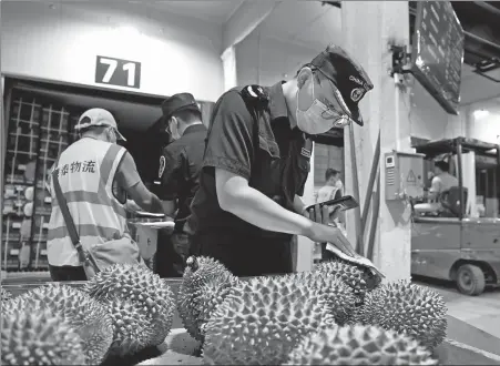  ?? CAO YIMING / XINHUA ?? Customs officials inspect durian quality at a port in Pingxiang, Guangxi Zhuang autonomous region, in September.