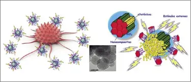  ??  ?? El equipo de investigac­ión trabaja en nanopartíc­ulas mesoporosa­s sensibles a los estímulos para la terapia antitumora­l.