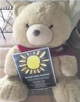  ??  ?? Mr Sunshine Bear