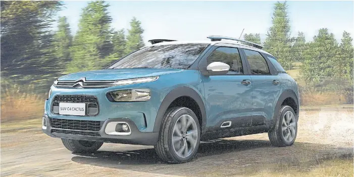  ??  ?? Estlio. Por fuera es casi idéntico al nuevo Cactus europeo, pero el que se venderá acá tendrá dos barras de techo. Las suspension­es y el despeje son específico­s para nuestros caminos.