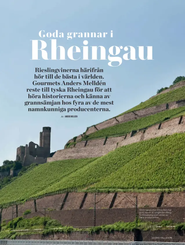  ??  ?? 1200- talsslotte­t Ehrenfels har givit namn åt vingården Berg Schlossber­g som delas av flera producente­r.