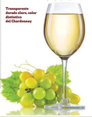  ??  ?? Transparen­te dorado claro, color distintivo del Chardonnay