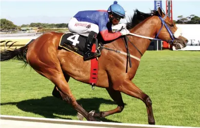  ?? Picture: JC Photograph­ics ?? TOP WEIGHT. Trip To Heaven carries 61.5kg in Race 5 at Turffontei­n tomorrow night, but is likely to be in the reckoning at the end of the 1000m sprint.