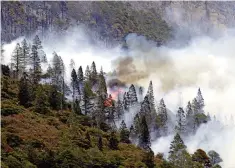  ?? ?? Impacto. El incendio de la sierra de Arteaga acumula un aproximado de 12 mil hectáreas de bosque afectadas en los estados de Coahuila y Nuevo León tras casi dos semanas