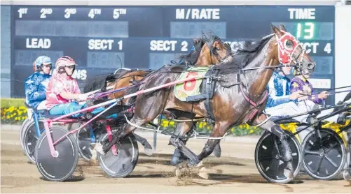  ?? Photo / NSWHR ?? Platinum Revolution looks the best chance for Aussie Shane Tritton.