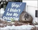  ?? The Canadian Press ?? Shubenacad­ie Sam predicts an early spring after emerging from his burrow at the wildlife park in Shubenacad­ie, N.S., on Friday.