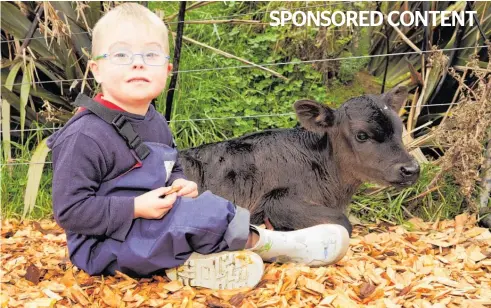  ?? Photos / Supplied ?? Each year, farmers are asked to pledge a calf when the calf is weaned or make a virtual donation.