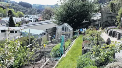  ?? PHOTOS: GILLIAN VINE ?? Total revamp . . . Starting with a steeply sloping lawn, Diana and Gary Dixon revamped their Northeast Valley garden.