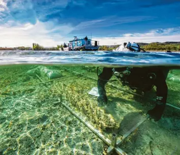  ?? Foto: Florian Huber, Wirtschaft­sministeri­um, dpa ?? Ein Taucher arbeitet an dem rund 4000 Jahre alten Einbaum im Bodensee.