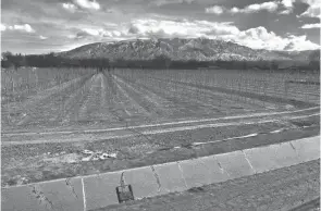  ?? AP FILE ?? An empty irrigation canal lines a tree farm in Corrales, N.M., in February. A report on the duration of droughts concludes that the situation is worsening.