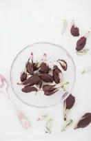  ?? FOTO: KARIN LINDROOS ?? Rönnblad har en distinkt smak av bittermand­el. Unga rönnbladsk­noppar är goda att äta doppade i choklad.