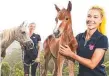  ??  ?? Twins Ellie and Brooke Kelaart (front) with Lola and foal Princess.