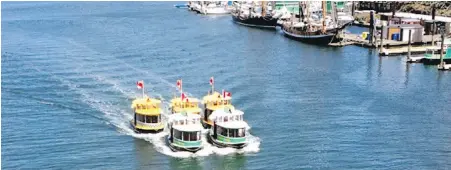  ??  ?? Harbour ferries pass under the Bay Street bridge on the weekend, sailing in formation.