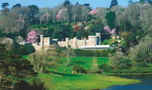  ??  ?? Mature woodland protects the famous collection of magnolia and camellia from seaward gales at Caerhays Castle in Cornwall