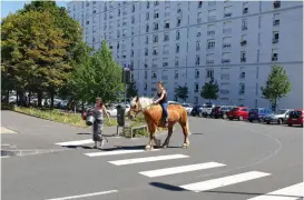  ??  ?? L’initiative d’Attel’Auvergne a donné naissance à un collectif qui développe un nouveau projet autour du cheval.