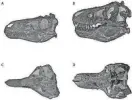  ?? PROVIDED BY THE UNIVERSITY OF BATH ?? Authors of a new study published Wednesday in the journal Fossil Studies claim the fossils thought to be a juvenile T-Rex belong to a species known as a Nanotyrann­us lancensis, shown as bones on the left in the comparison image.