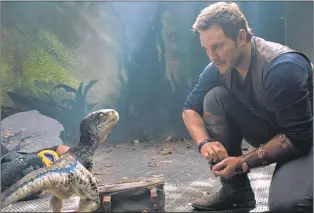  ?? AP PHOTO/ UNIVERSAL PICTURES ?? This image released by Universal Pictures shows Chris Pratt in a scene from the upcoming “Jurassic World: Fallen Kingdom.”