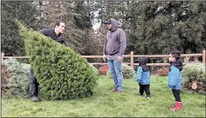  ?? AP ?? Tommy Lee, a sixth-generation Christmas tree farmer in Tualatin, Ore., helps Jason Jimenez and his sons carry the Douglas fir they selected last month.