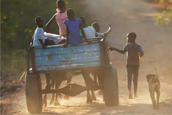  ?? ?? A scotch cart carrying children makes its way along a dusty road in Hurungwe about 200 kilometres west of the capital Harare, Zimbabwe, Saturday, May, 6, 2023. Photo: Associated Press/Tsvangiray­i Mukwazhi.