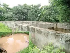  ?? ?? Some concrete fish tanks at Musa Dankano Farms. Inset: A pond