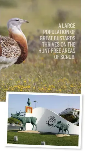  ??  ?? Above centre: great bustards inhabit steppe, grassland and open, agricultur­al areas. Above left: a sculpture highlighti­ng the game to be found in the Guadiana Valley greets visitors to the town given the name of the ‘national capital of hunting’.