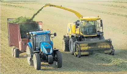  ??  ?? En el lote. El silaje de pasturas es otra alternativ­a para conservar un alimento rico en fibras para el ganado.