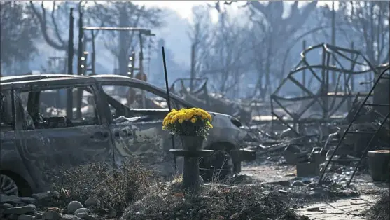  ?? Jae C. Hong/Associated Press ?? A bouquet of fresh flowers is placed Sunday in the Coffey Park neighborho­od in Santa Rosa, Calif., that was devastated by a wildfire.