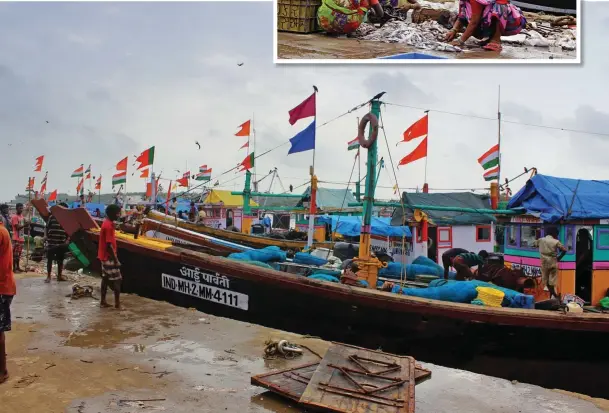  ??  ?? ⇨ Fresh catch from fish trawlers being sorted at Vesave jetty.