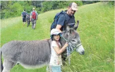  ??  ?? Aufgepasst: Die Tiere sollten nicht zu viel Gras fressen.