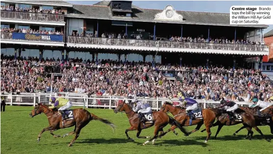  ??  ?? Centre stage Brando tops the bill by winning the William Hill Ayr Gold cup on Saturday.