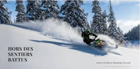  ??  ?? Arctic Cat M8000 Mountain Cat 2018