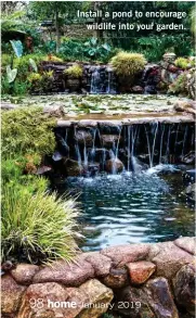  ??  ?? Install a pond to encourage wildlife into your garden.