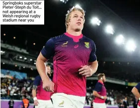  ??  ?? Springboks superstar Pieter-Steph du Toit... not appearing at a Welsh regional rugby stadium near you